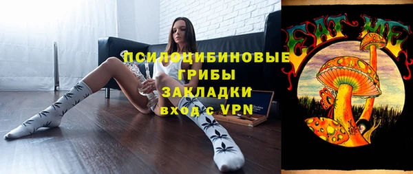 крисы Горно-Алтайск