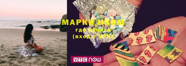 шишки Заволжск