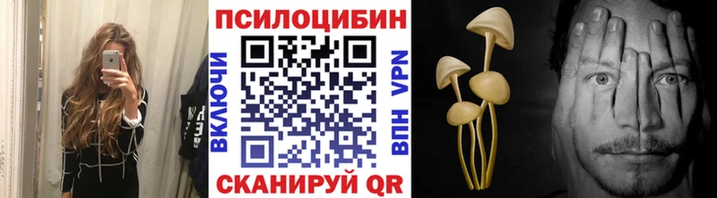 наркотики  Сосногорск  Галлюциногенные грибы Cubensis 
